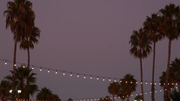 Декоративні вогні в саду, силуети пальм, вечірнє небо. Затуманене тло. Вулиця прикрашена світильниками в Каліфорнії. Святкове освітлення, вечірка на пляжі, ідея тропічних відпусток.. — стокове відео