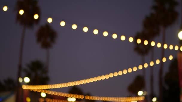 Decorativi fissando ghirlande luminose, sagome di palme, cielo serale. Sfondo sfocato. Strada decorata con lampade in California. Illuminazioni festive, festa in spiaggia, concetto di vacanze tropicali. — Video Stock