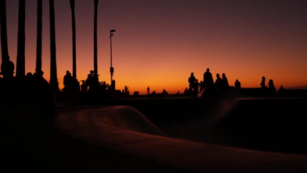 Силуэт молодых прыгающих скейтбордистов на длинной доске, летний фон заката. Скейтпарк Венис Оушен Бич, Лос-Анджелес Калифорния. Подростки на скейтборде, экстремальный парк. Группа подростков. — стоковое видео