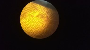 Manyetik alan mikroskop altında büyütülmüş. Mikro çip alan duvarları kapanıyor. Bilim, nanoteknoloji, araştırma, fizik ve elektronik konsepti. manyetik alan etkisi.
