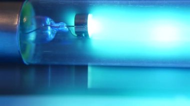 Mavi neon lamba. Ultraviyole antibakteriyel bakteriyel kuvars ilaç lambası, hava dezenfeksiyonu ve arındırma. Bakteri ve virüslerden korunma. Coronavirus salgını, covid veya ncov salgını.