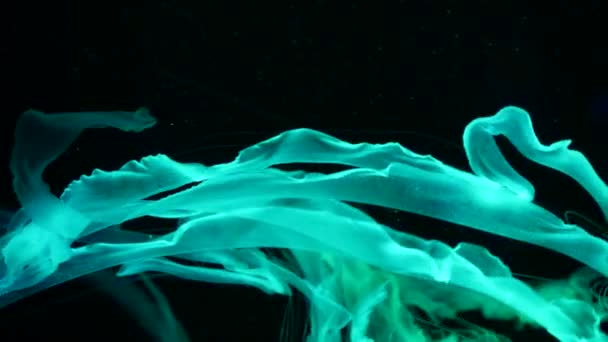 光沢のある鮮やかな蛍光クラゲの光水中では、暗いネオン動的脈動紫外線背景ぼやけている。幻想催眠神秘的なサイケデリックダンス。鮮やかな蛍光宇宙メデューサダンス — ストック動画