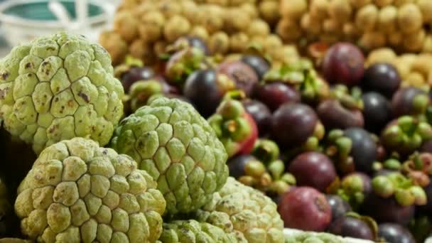 市場で屋台の上にエキゾチックな果物を盛り合わせ。熱帯の国で市場に出回っているロングランとマンゴスチンのぼやけた背景に置かれた砂糖りんごの束 — ストック動画