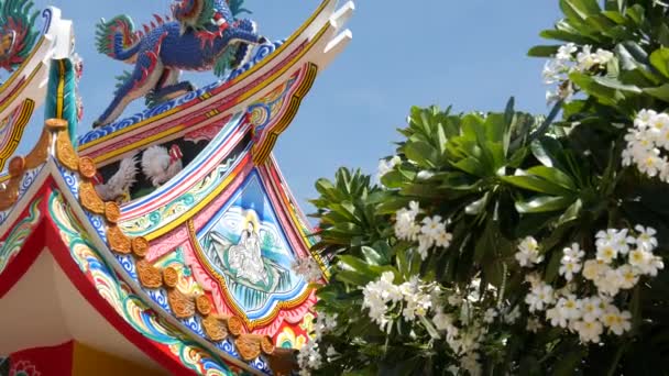 Traditionele oosterse taoïstische Chinese klooster tempel dak details, feestelijke draak decoratie. Klassieke Aziatische religieuze multicolor heiligdom of pagode in bloei van plumeria frangipani bloemen op zonnige dag — Stockvideo