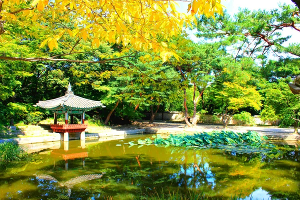 Jesień i tradycyjnej architektury koreański — Zdjęcie stockowe