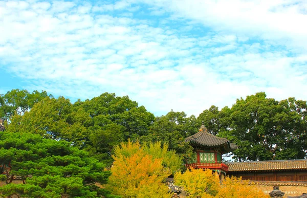 Jesień i tradycyjnej architektury koreański — Zdjęcie stockowe