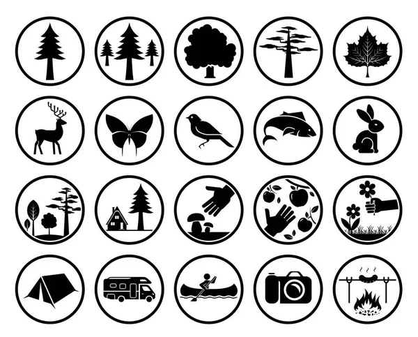 Ensemble de signes de la nature — Image vectorielle