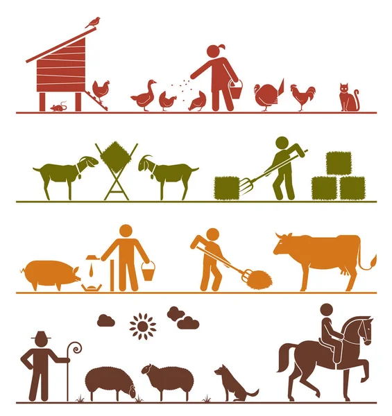 Pictogram icons presenting feeding of domestic animals on the fa — Stock Vector