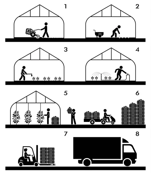 Proses pertanian di rumah kaca . - Stok Vektor