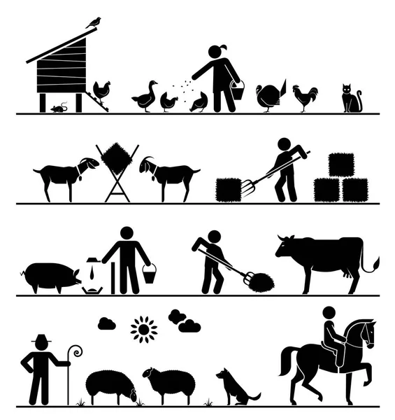 Pictogram icons presenting feeding of domestic animals on the fa — Stock Vector