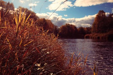 Sonbahar orman nehir manzara