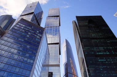 Modern gökdelenler bölge