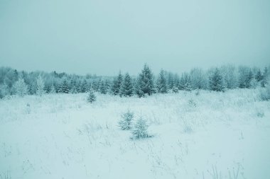 kar kış manzara modunda