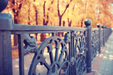 Şehir parkında sonbahar