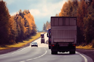 Sonbahar manzara otoyol