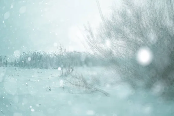 눈 밭 풍경 — 스톡 사진