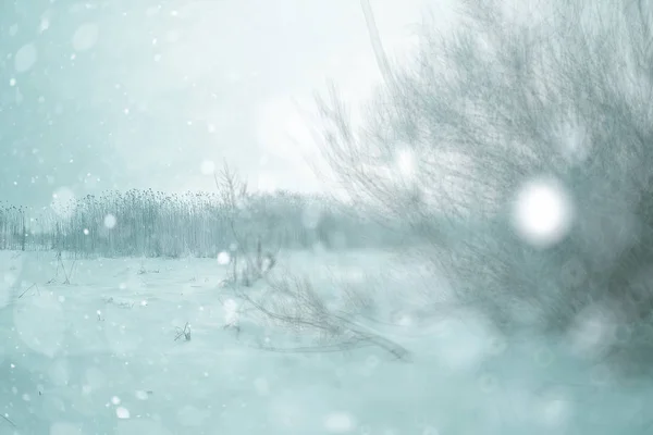 Snö fältet landskap — Stockfoto