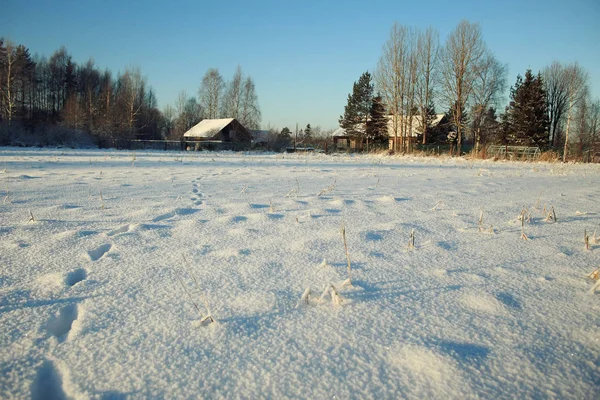 Estrada nevada no inverno — Fotografia de Stock