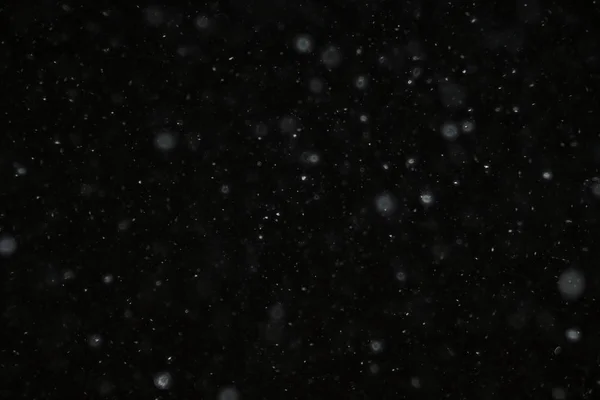 Winter snowfall texture — Stock Photo, Image