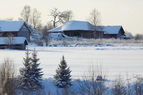 Gelida natura invernale mattina — Foto Stock