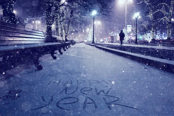 Nowy rok w parku miejskim — Zdjęcie stockowe