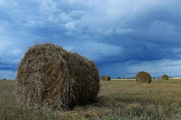 Ландшафт стога сена в поле — стоковое фото