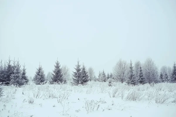 Nieve en el paisaje invernal — Foto de Stock