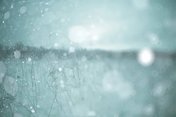 冬天雪下的旷野 — 图库照片