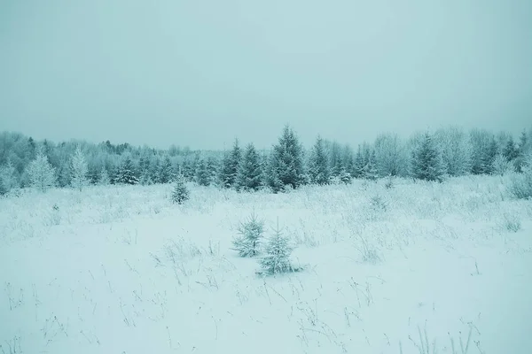 Снег в зимнем пейзаже — стоковое фото