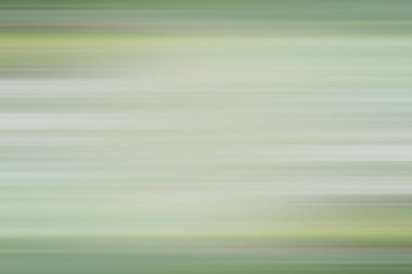 bulanık hareket doku