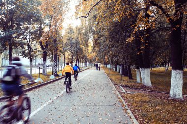 sonbahar park yolundaki arka plan bulanık