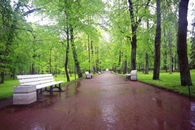 Şehir parkında sonbahar