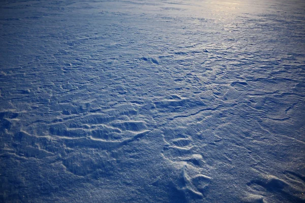 白雪纹理 — 图库照片