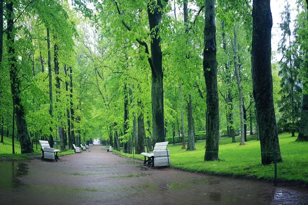 Gränd i vår Park — Stockfoto