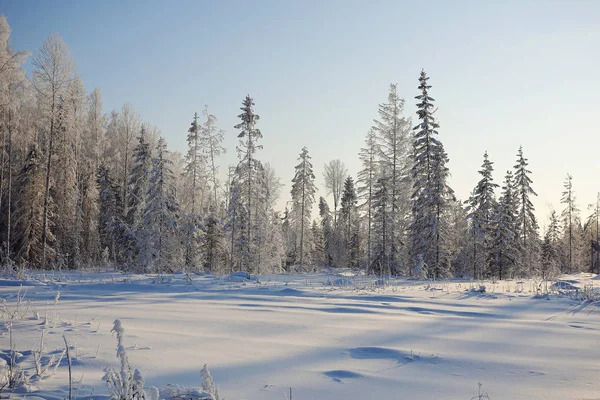 Natureza inverno paisagem — Fotografia de Stock