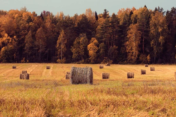 Paisaje de pajar en un campo — Foto de Stock