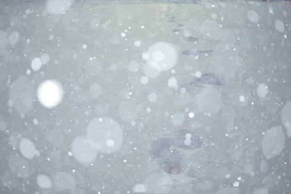 乡村景观的下雪的冬天 — 图库照片