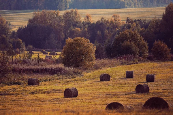 Paisagem de palheiros em um campo — Fotografia de Stock