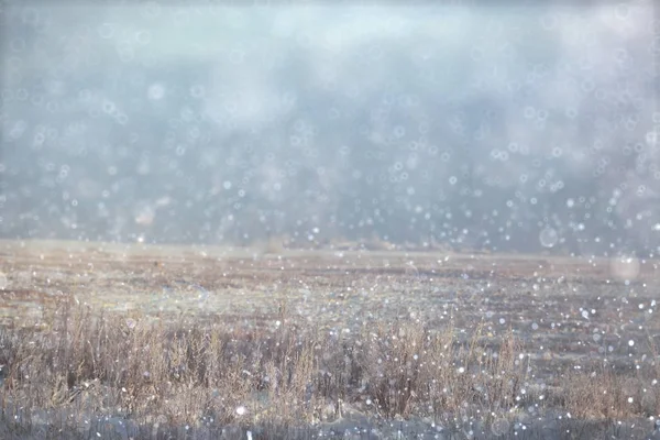 눈 밭 풍경 — 스톡 사진