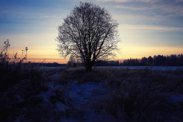 Incrível paisagem de inverno — Fotografia de Stock