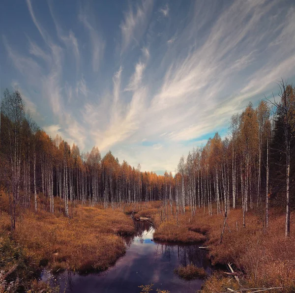 Autunno Foresta paesaggio fluviale — Foto Stock