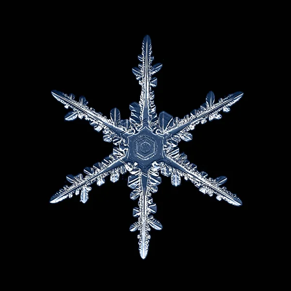 Snowflake Stock Photos Royalty Free Snowflake Images Depositphotos