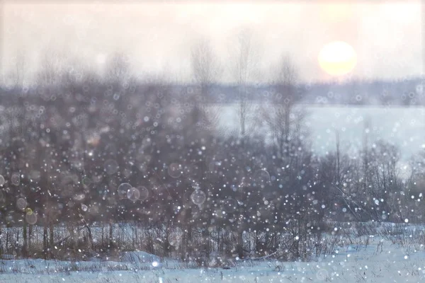 Schnee im Winter — Stockfoto