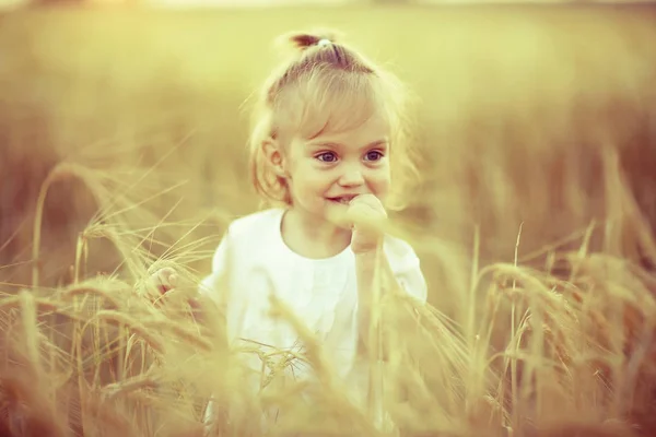 Kleines weibliches Kind auf einem Feld — Stockfoto