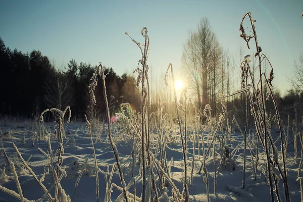 Natura invernale in gelo — Foto Stock
