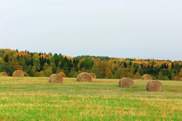 Пейзаж стовпів сіна в полі — стокове фото