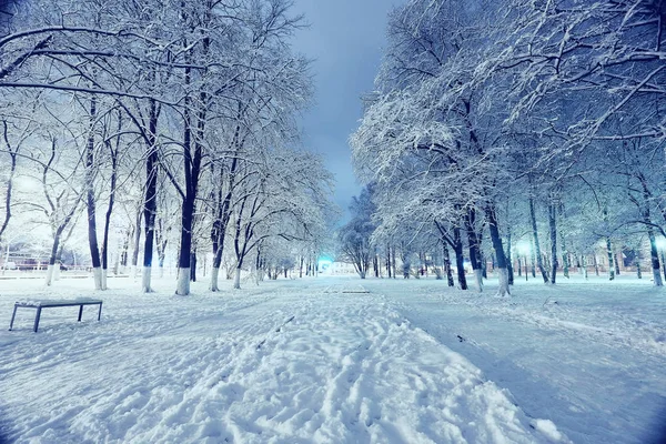 Χειμερινό τοπίο νύχτα — Φωτογραφία Αρχείου