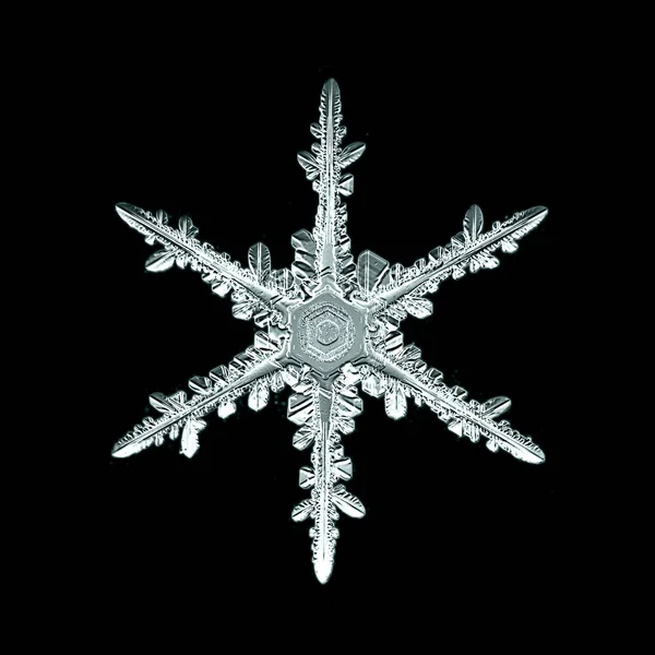 Zdjęcia makro piękna śnieżynka — Zdjęcie stockowe