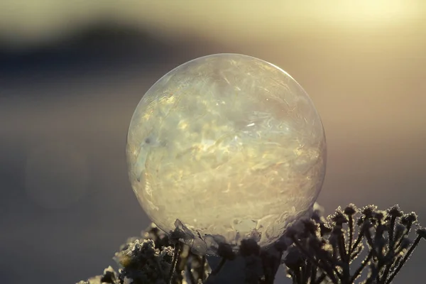 Textura de gelo de inverno — Fotografia de Stock