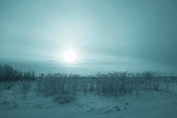 Kuru ot hoarfrost ile kaplı — Stok fotoğraf